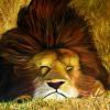 The SLeeping Lion

©2006 Stevn Dutton
Acrylic
30x30

Private Collection